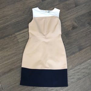 The Limited Color Block dress